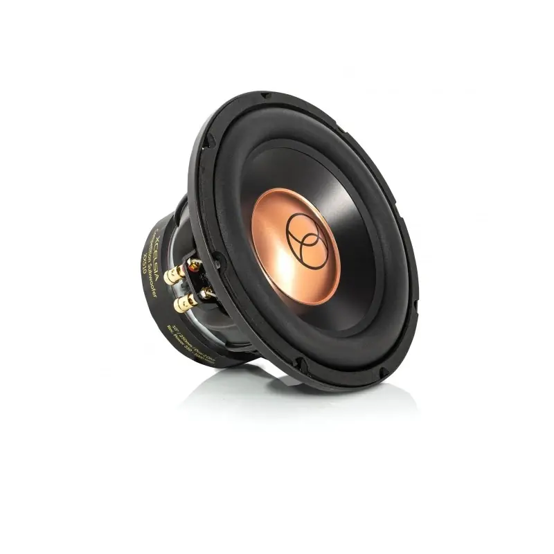 Finální Výprodej XCELSUS XXS10 - Subwoofer Xcelsus, 25 cm, 350 W RMS, 2 x 2 Ω